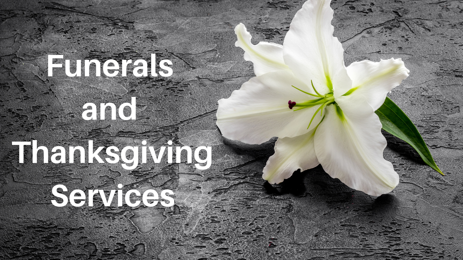 Funeral slides (2)